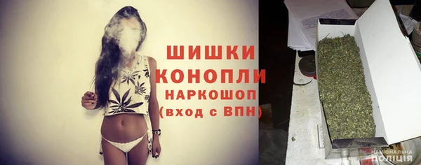 шишки Алексеевка