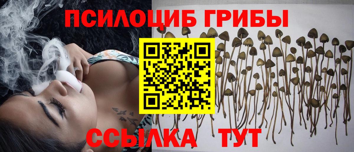Сосновоборск  Псилоцибиновые грибы мицелий  наркота  Вход с VPN 