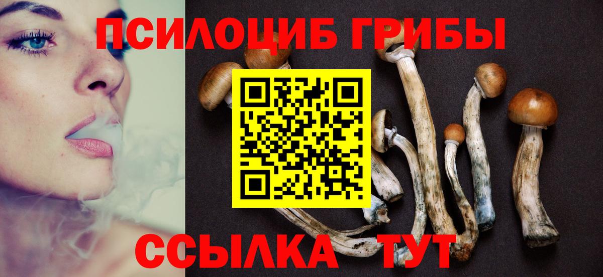 Псилоцибиновые грибы MAGIC MUSHROOMS Сосновоборск